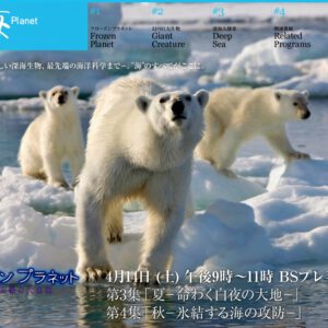 http://www.nhk.or.jp/ocean/