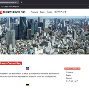 nges-consulting.com