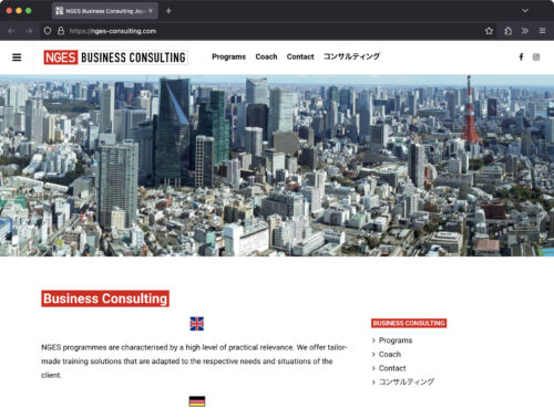 nges-consulting.com