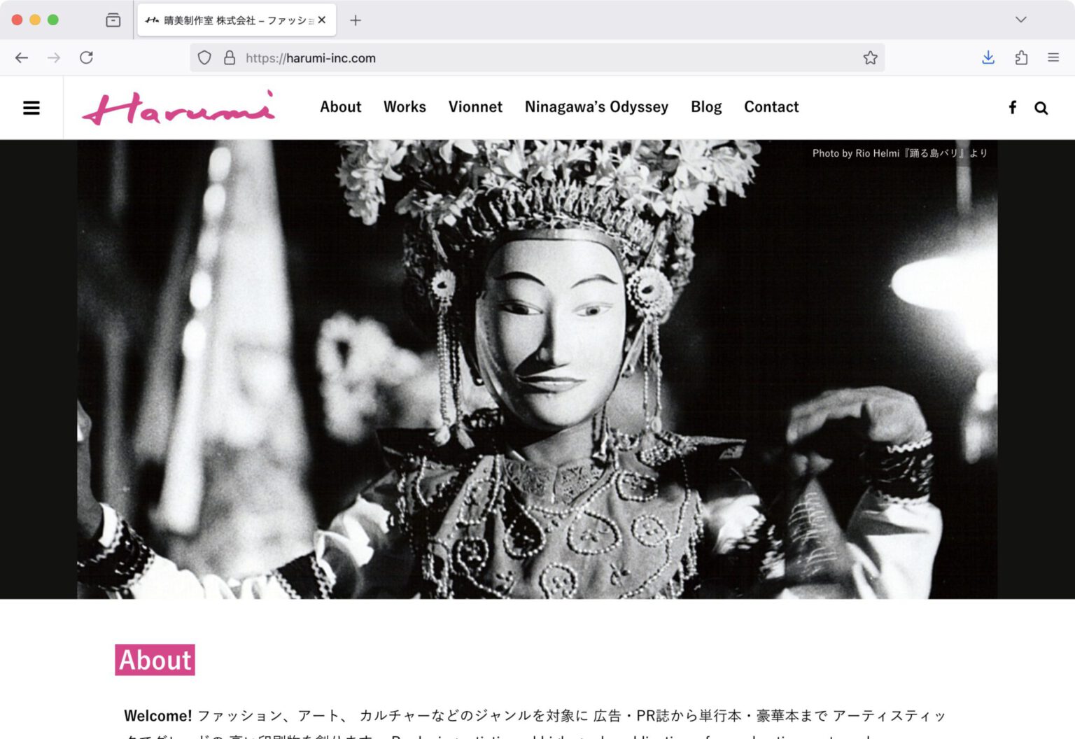 harumi-inc.com (harumi-inc.com)